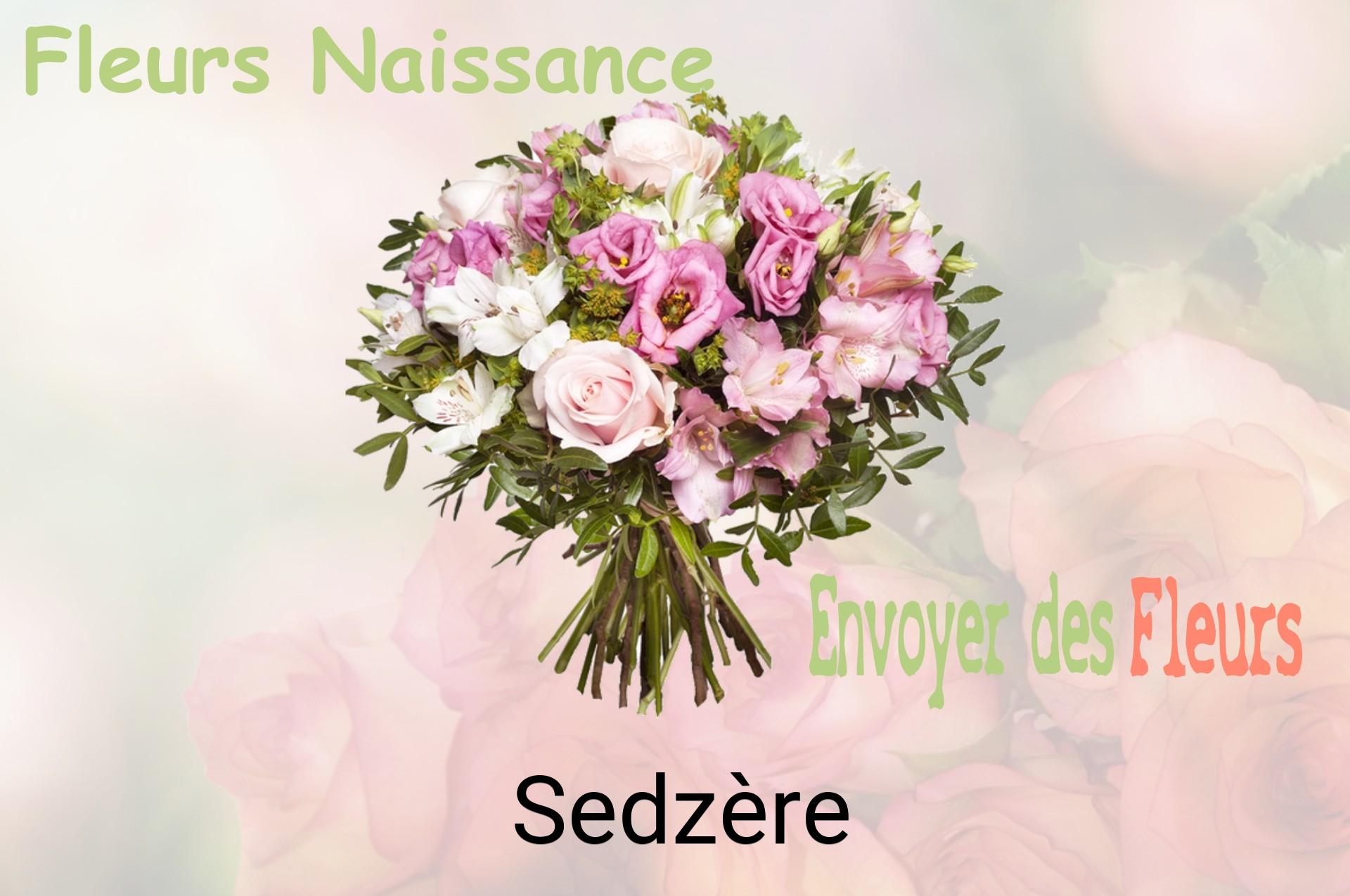 Bouquet de fleurs de naissance livré à Sedzère